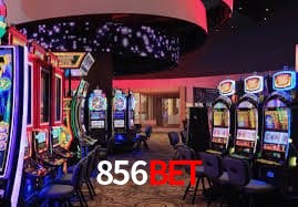 Evolução VIP 856bet