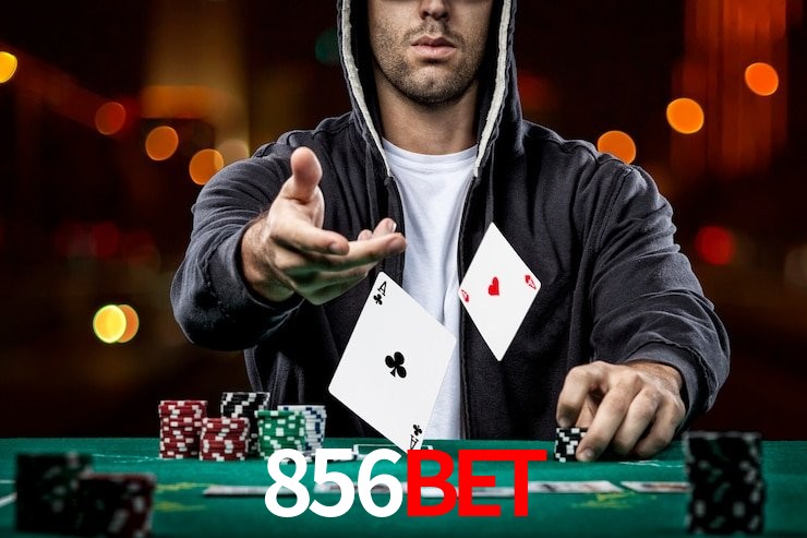 Funcionalidades App 856bet
